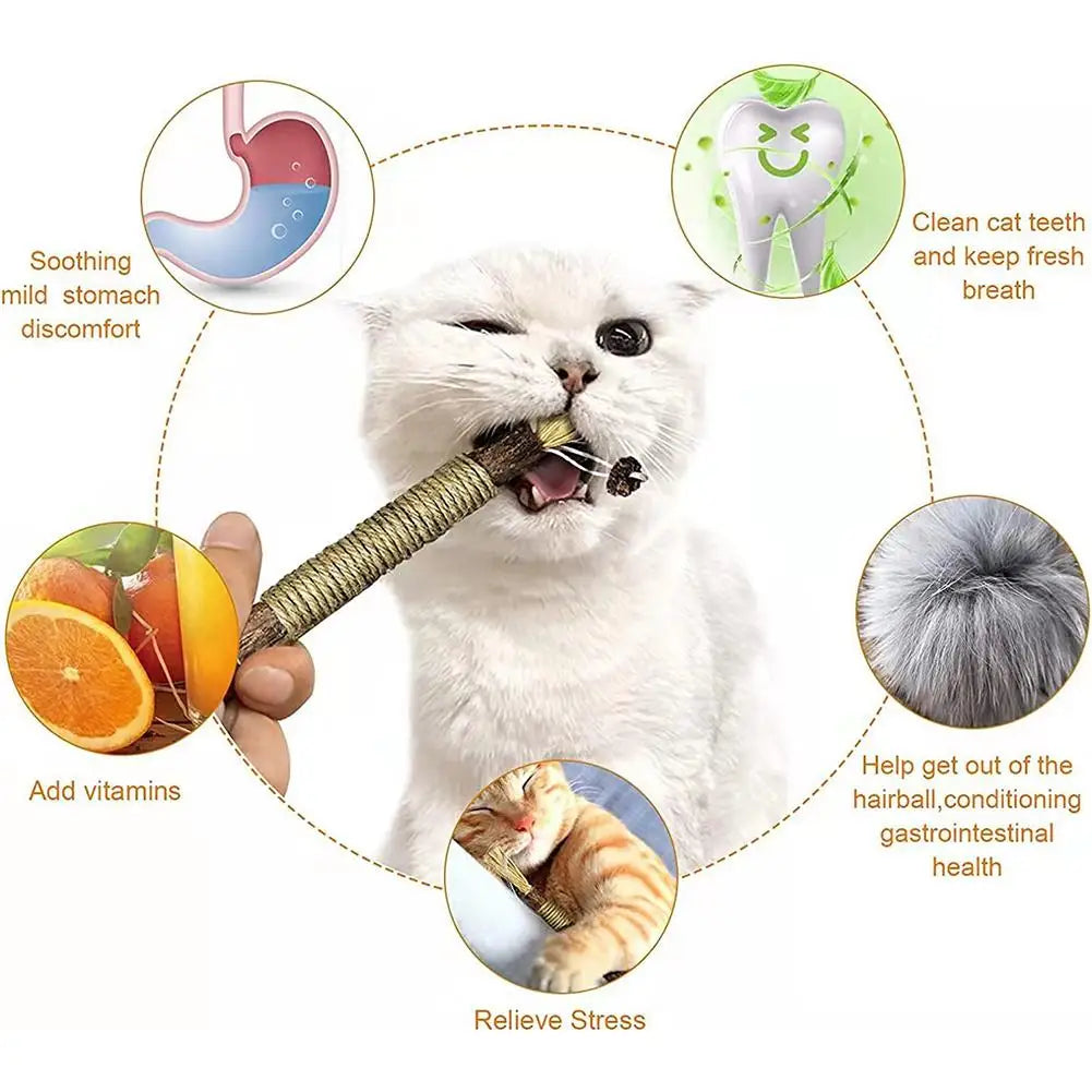 PawzCare Silvervine Chew Stick