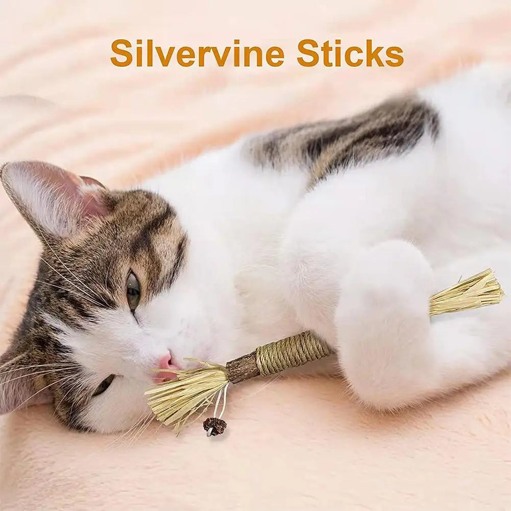PawzCare Silvervine Chew Stick