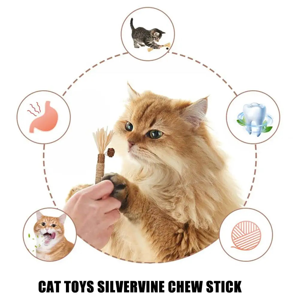 PawzCare Silvervine Chew Stick