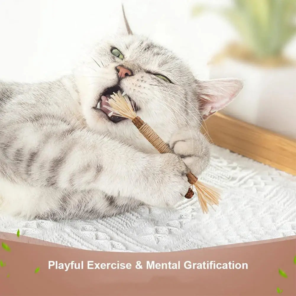 PawzCare Silvervine Chew Stick