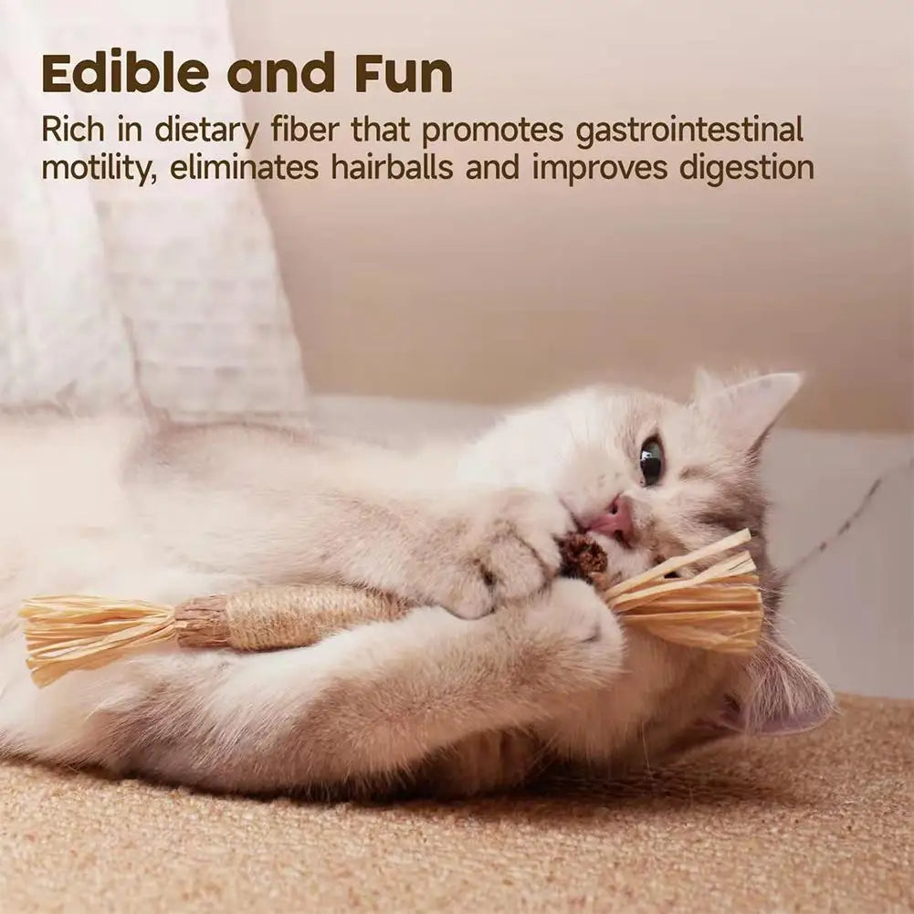 PawzCare Silvervine Chew Stick